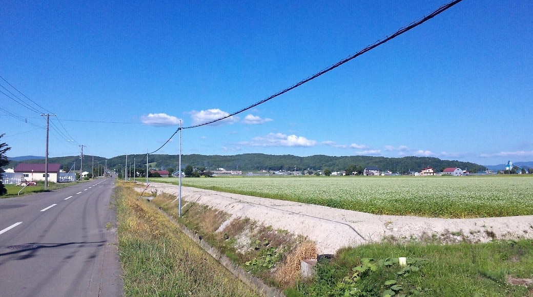 Mt. Tosshozan, in Hokkaido, Japan