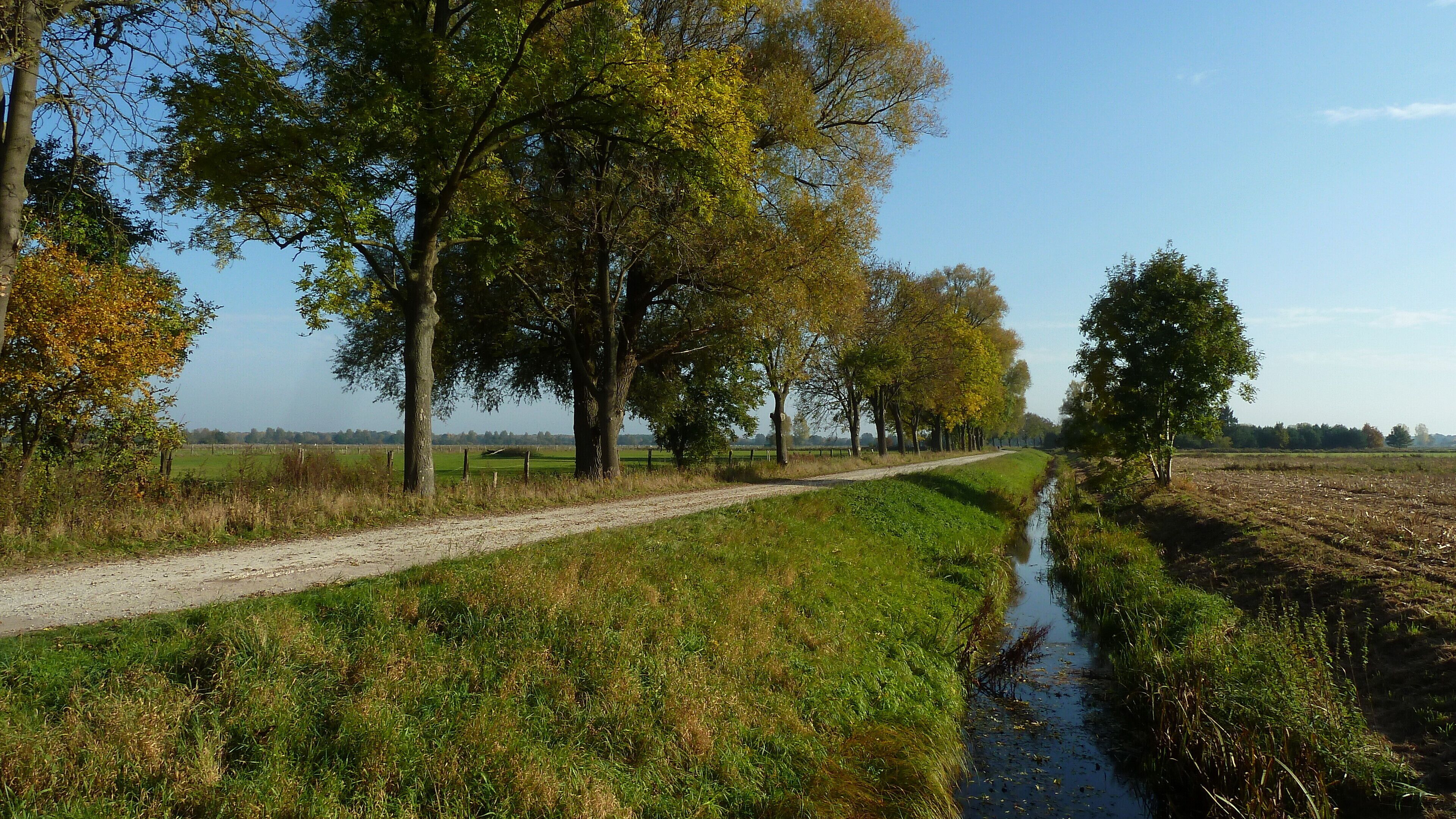 Der Hastbruch wird von einigen Wirtschaftswegen durchzogen und durch Gräben und Fließgewässern, hier der Wulbeck, mit reichen Wasserpflanzengesellschaften gegliedert. Äcker wie im Bild rechts gibt es eher selten.