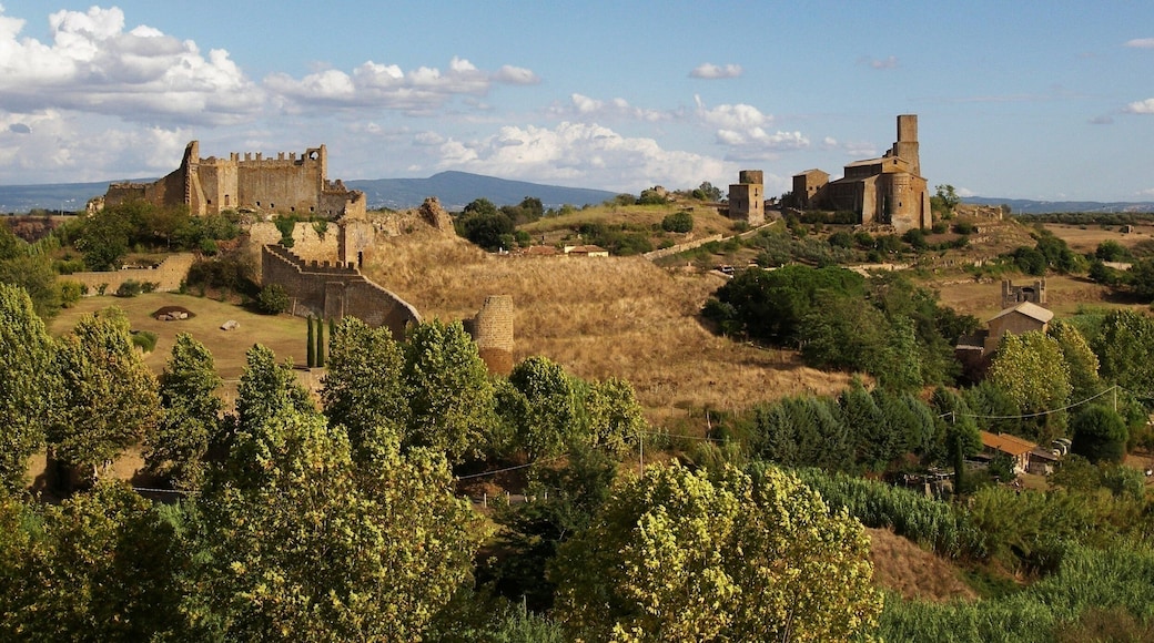 ๋ผ๋ฒจ๋ก