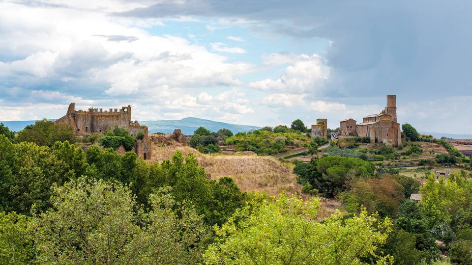 A historic castle surrounded by lush greenery and a clear sky.