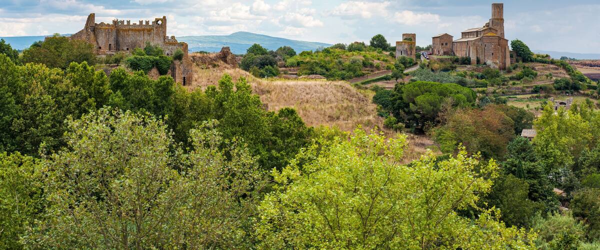A historic castle surrounded by lush greenery and a clear sky.