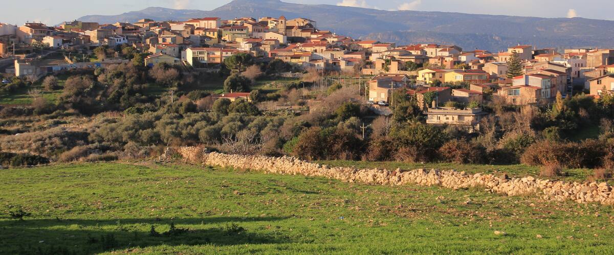 A hillside village with buildings, a stone wall, and a mountain in the background.
