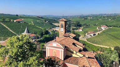 A vineyard landscape with terraced fields, a church tower, and traditional buildings.