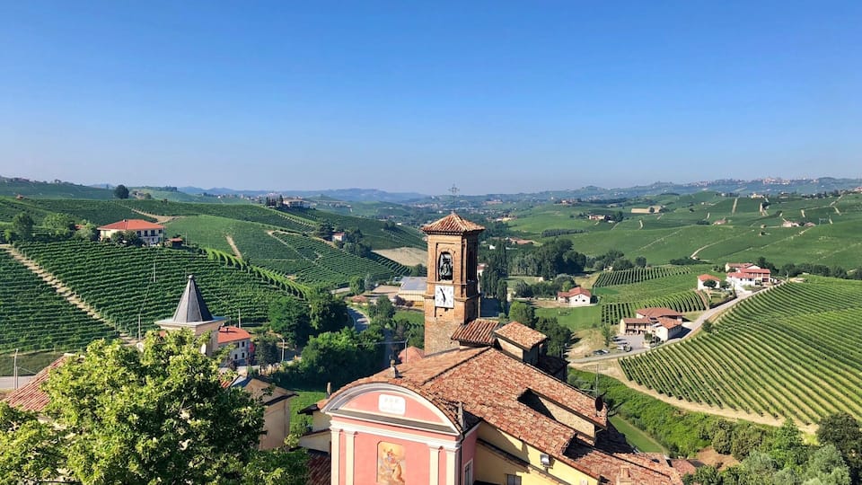 A vineyard landscape with terraced fields, a church tower, and traditional buildings.