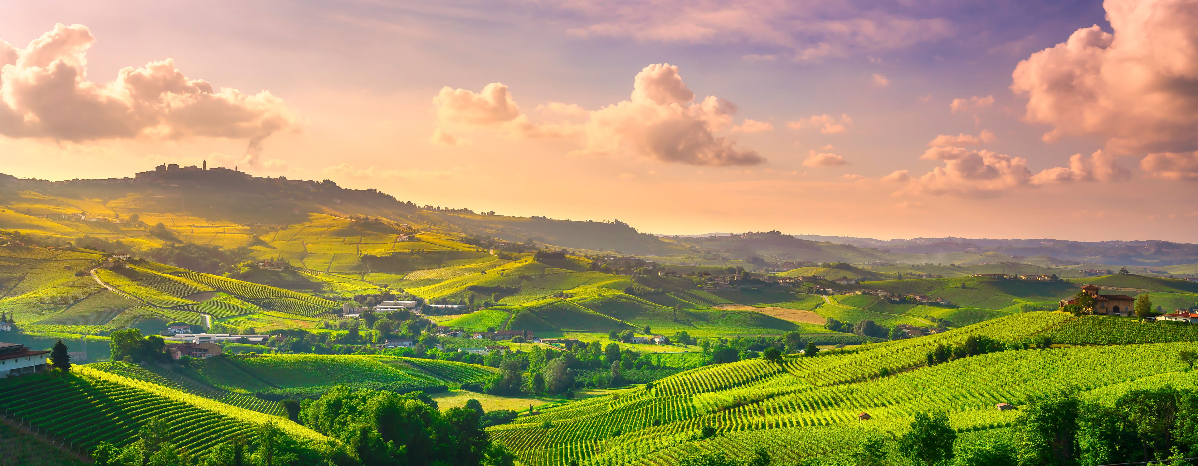 Barolo