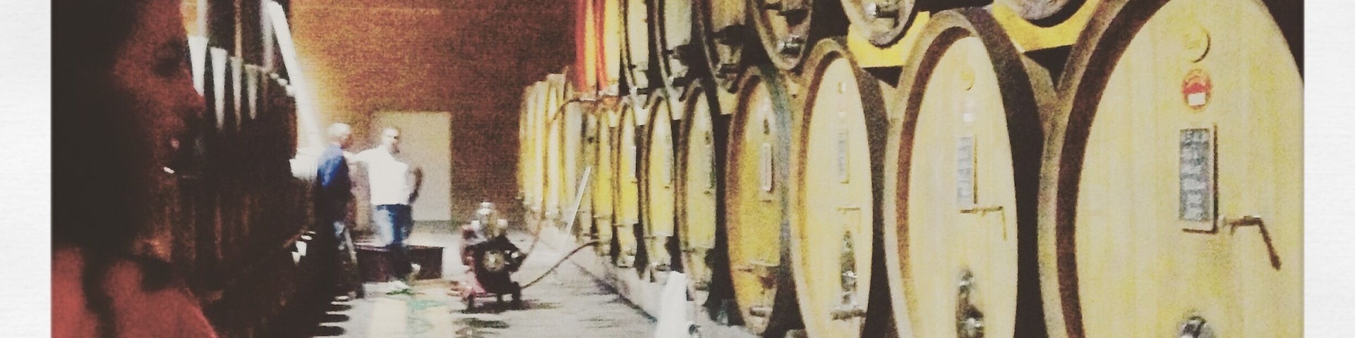Una hilera de barriles grandes de vino en una bodega.