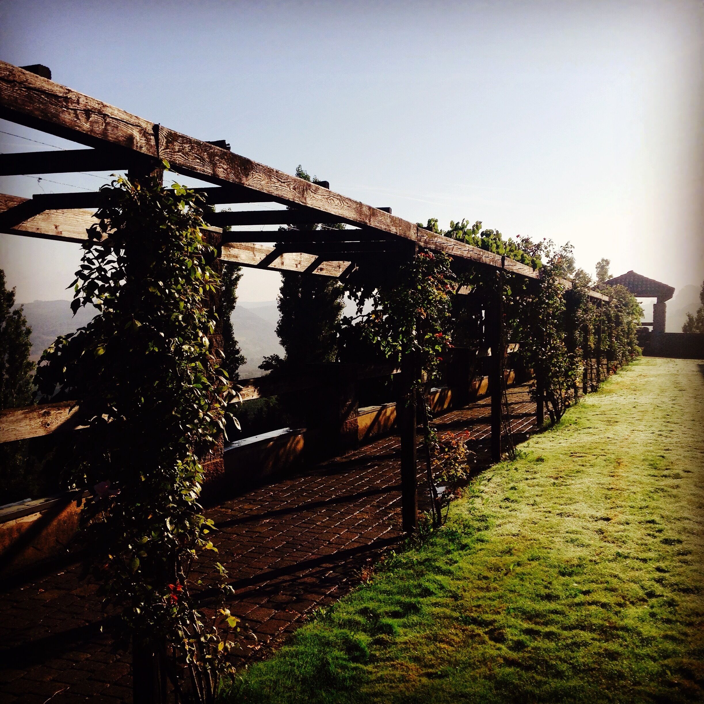 Luigi Einaudi Winery provides a gorgeous B n B service amongst the stunning vineyards of the Barolo region....
http://www.poderieinaudi.com/it/