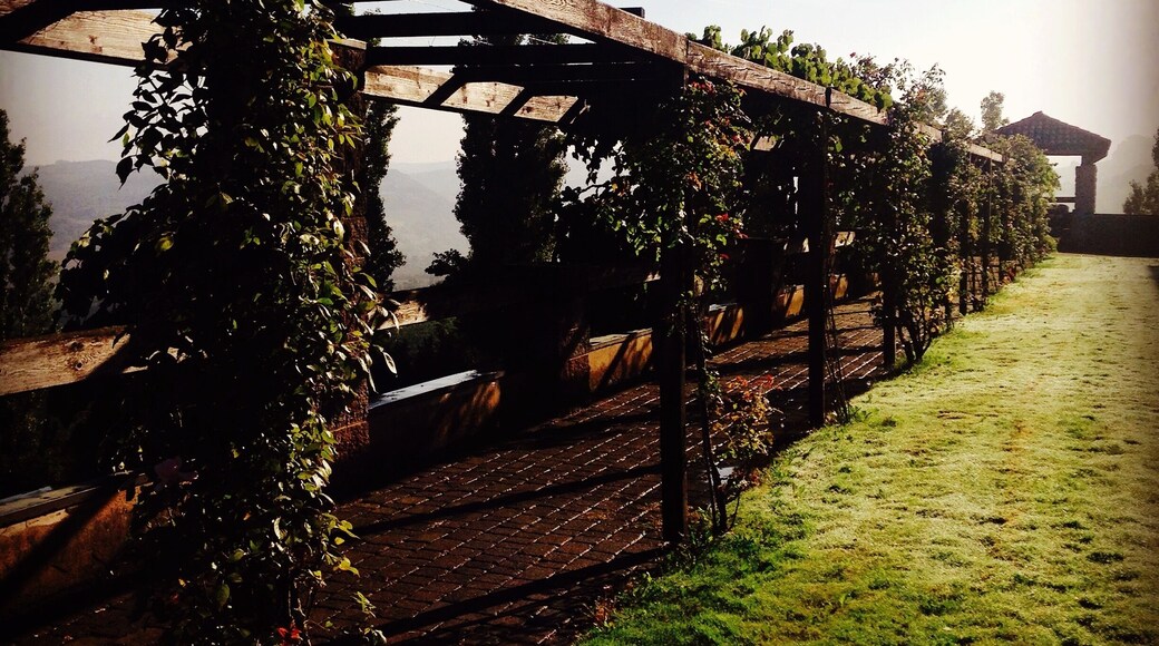 Luigi Einaudi Winery provides a gorgeous B n B service amongst the stunning vineyards of the Barolo region....
http://www.poderieinaudi.com/it/