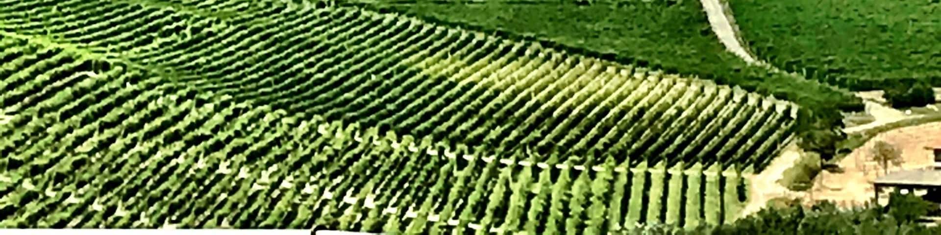 Having lunch at the Locanda ai Cannubi....view of La Morra Piedmont italy