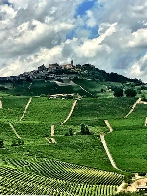 Having lunch at the Locanda ai Cannubi....view of La Morra Piedmont italy