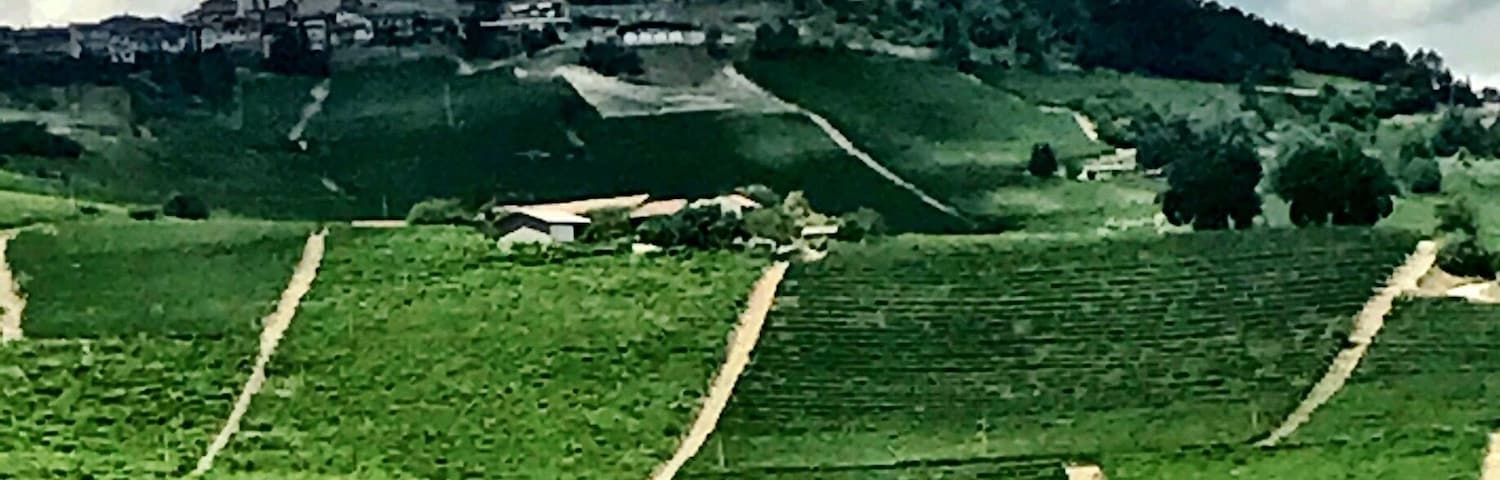 Having lunch at the Locanda ai Cannubi....view of La Morra Piedmont italy