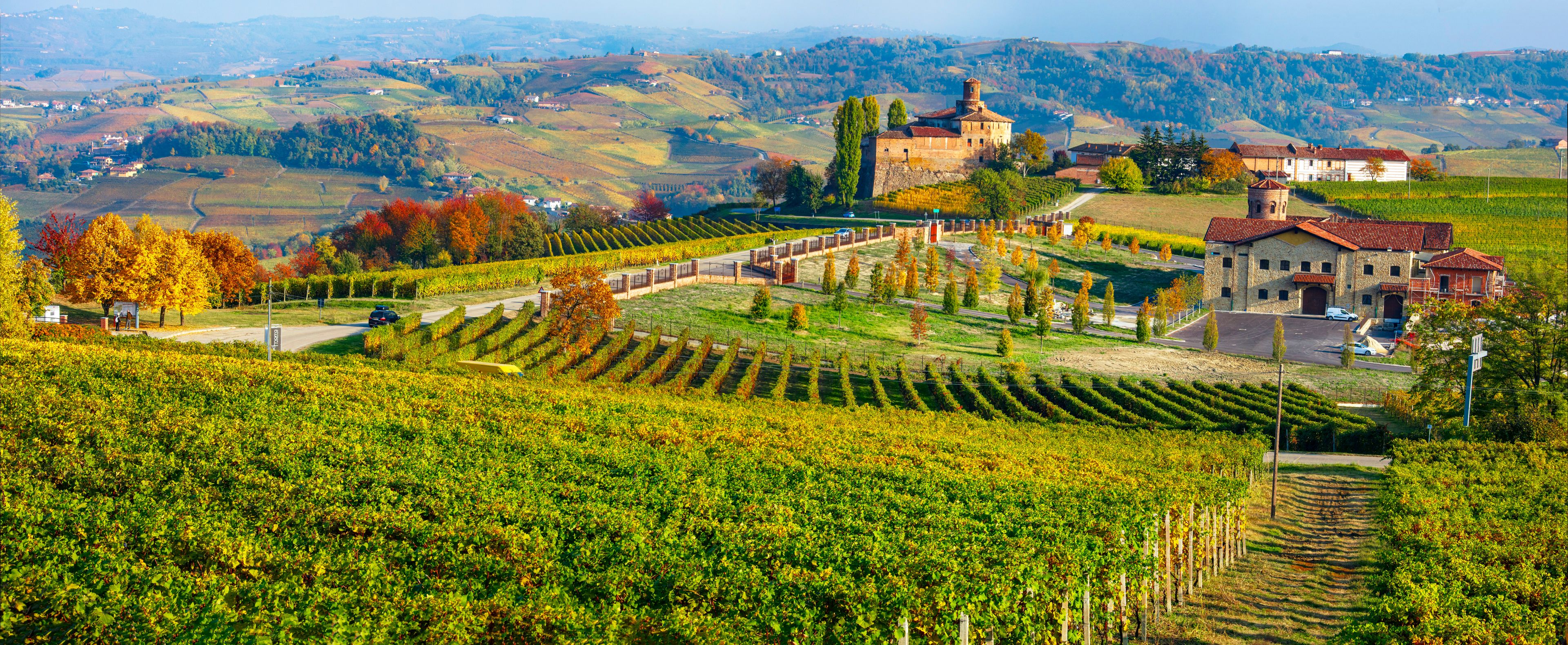 Barolo