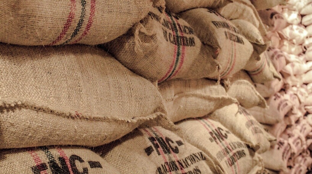 Colombian Coffee is worldwide famous... To many is the best!
At the Coffee Museum you can see how it's all made... from the field all the way to shipment... Make sure you check it out
#NationalPark