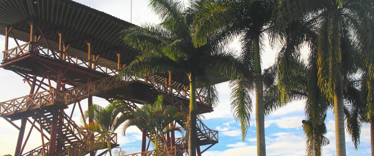 A large metal structure with stairs and platforms, surrounded by tall palm trees.