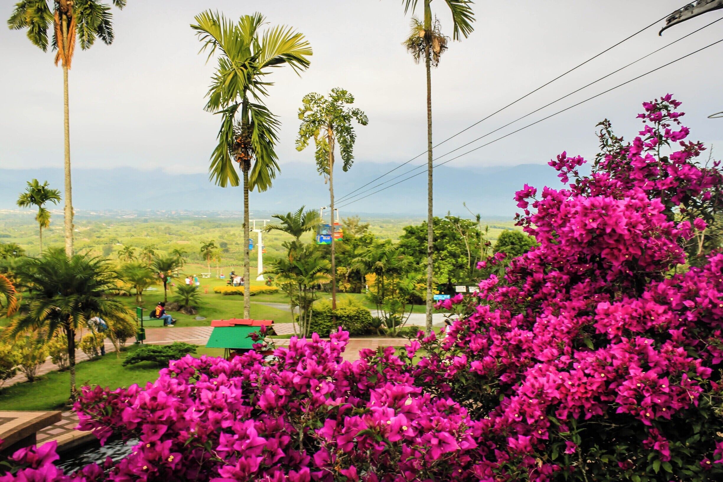 The park is extremely huge! So much beauty to see and so educational as well
#NationalPark