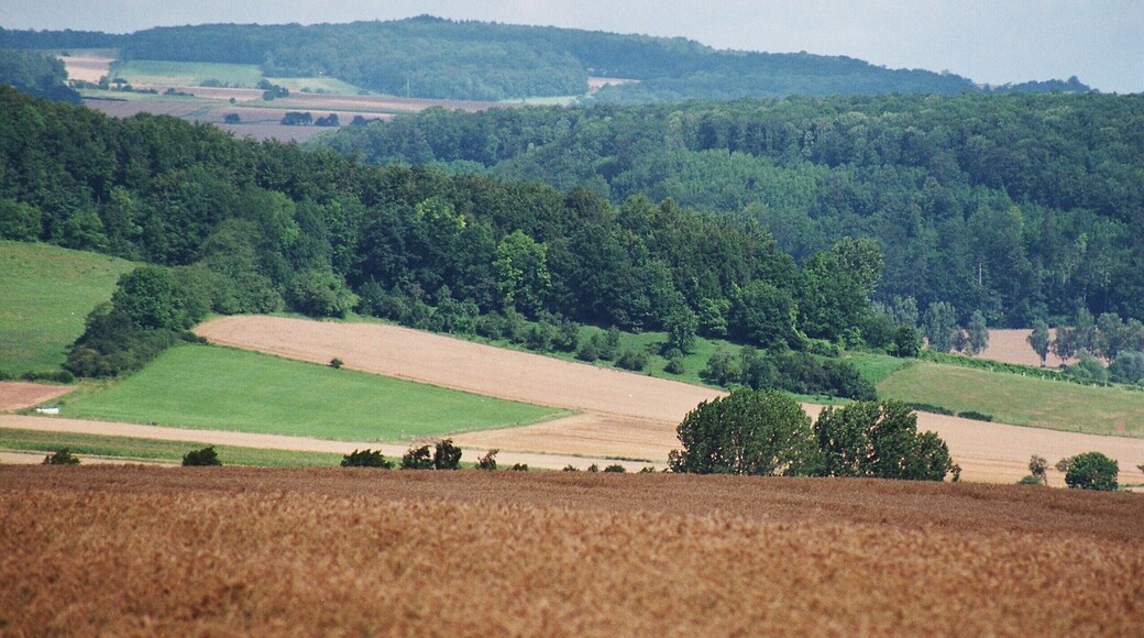 Landscape nearby Atzenhausen