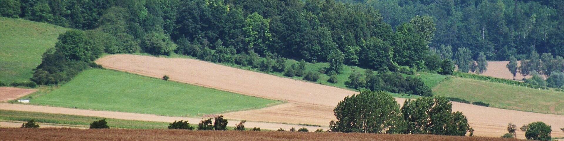 Landscape nearby Atzenhausen