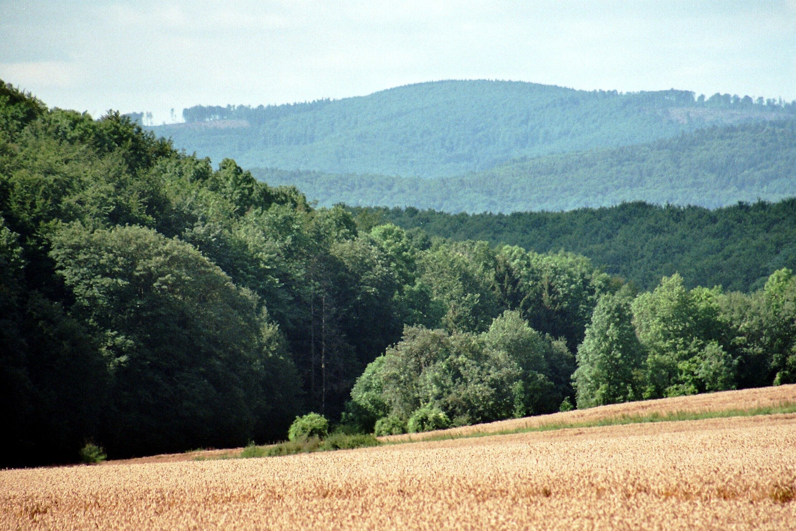 Mollenfelde (Friedland), view to the valley of the Hübenbach