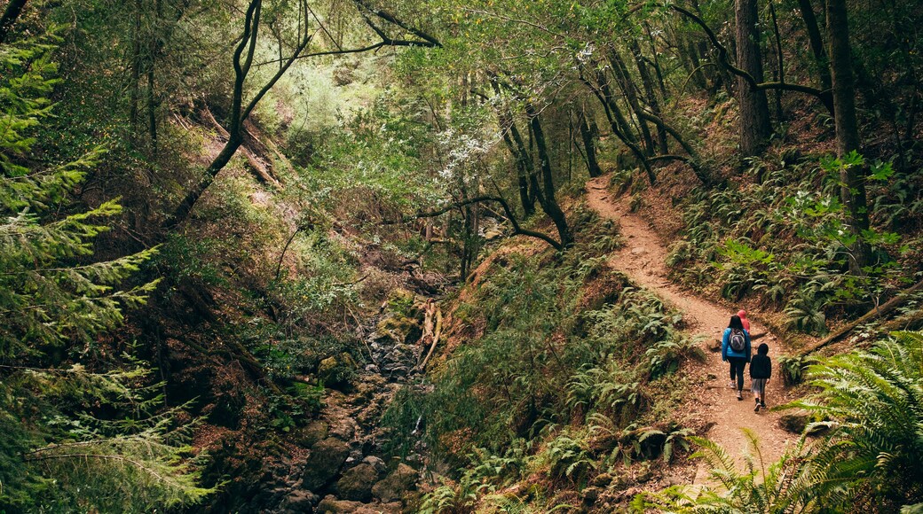 フェアファックス