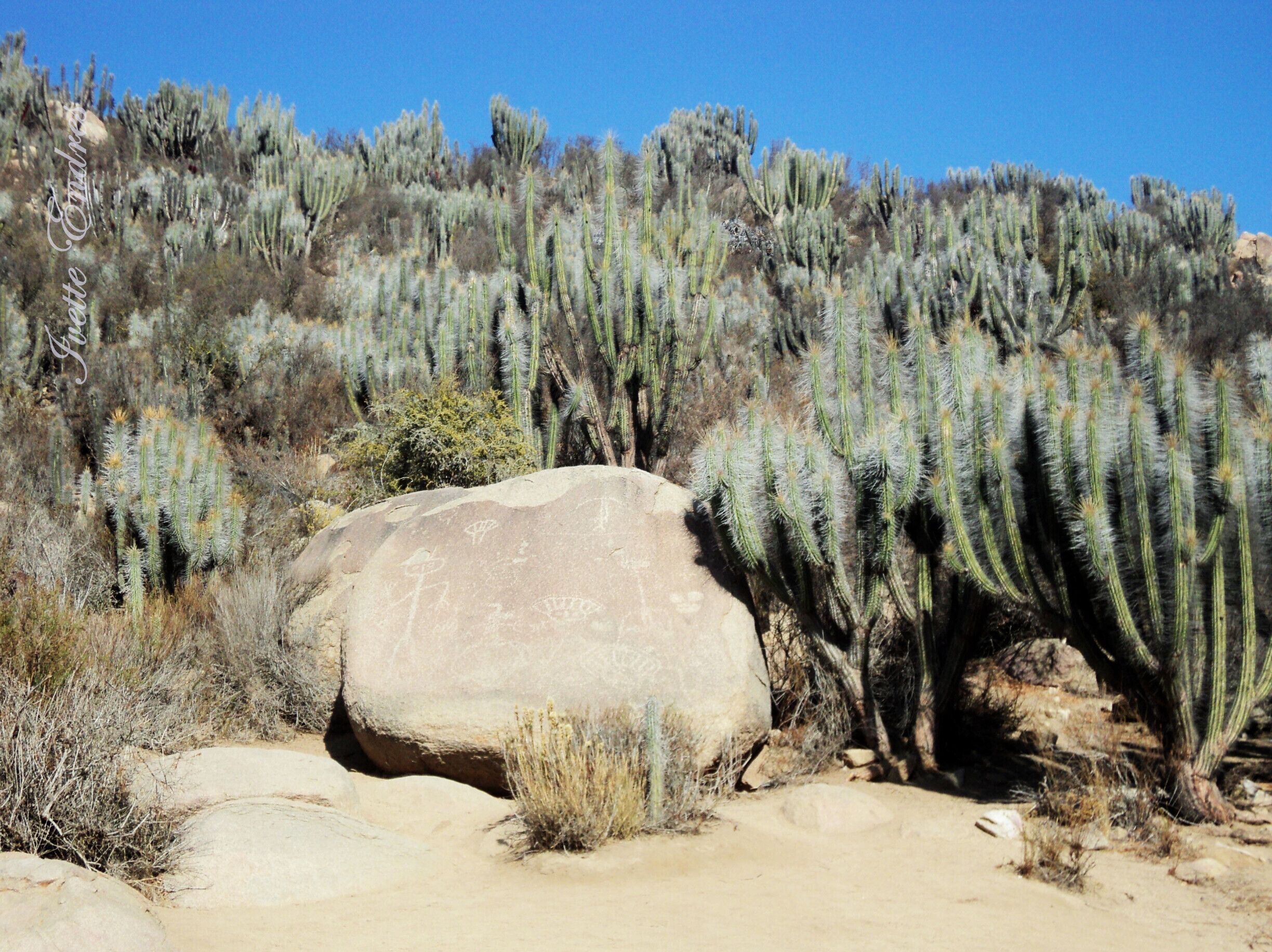 In this place you can find petroglyphs and pictographs, archaeological vestiges of  pre-Hispanic cultures. 