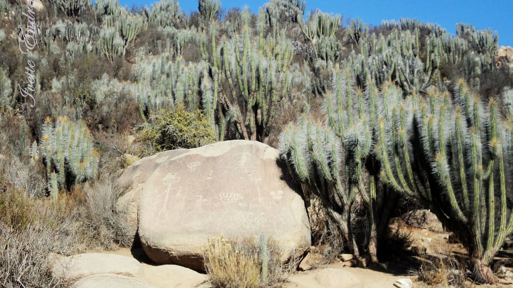 In this place you can find petroglyphs and pictographs, archaeological vestiges of pre-Hispanic cultures.