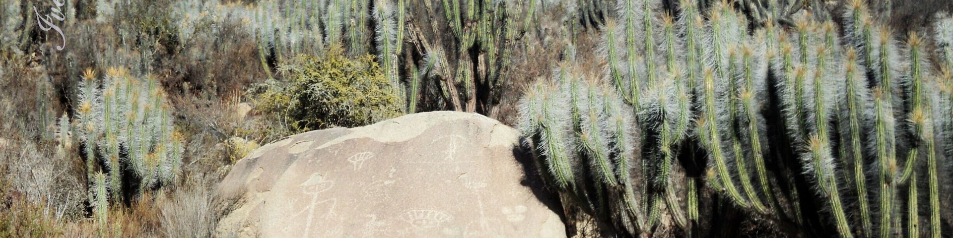 In this place you can find petroglyphs and pictographs, archaeological vestiges of pre-Hispanic cultures.