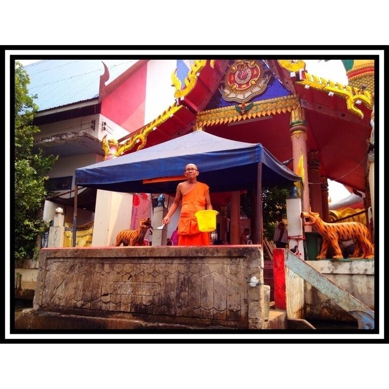 适合家庭的最佳住宿
