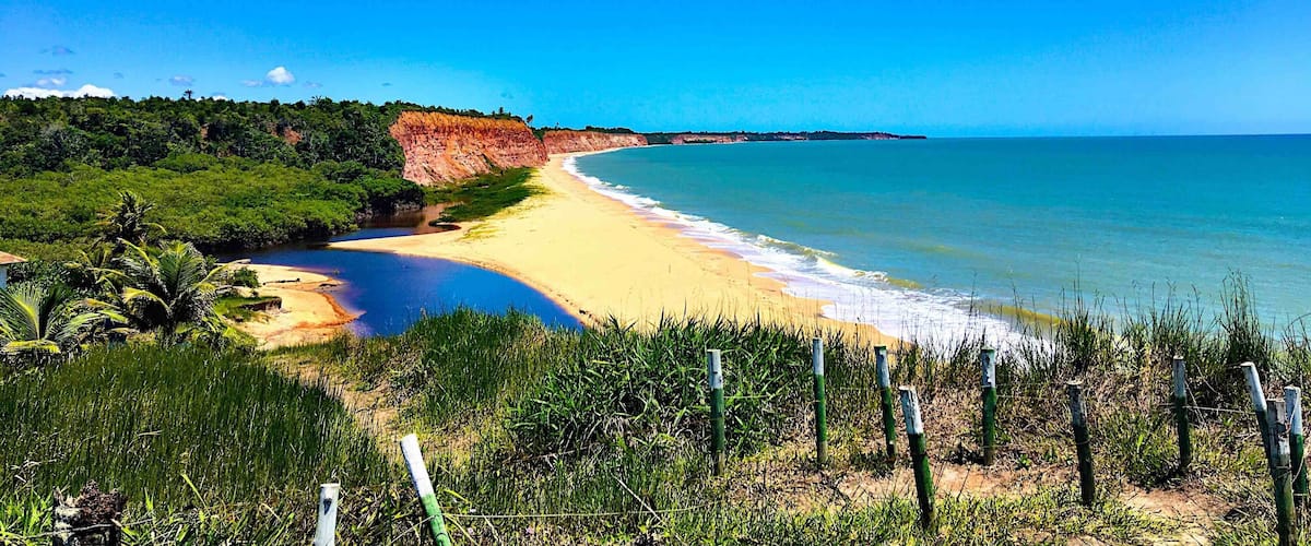 A beach with clear blue waters, sandy shore, and green vegetation.