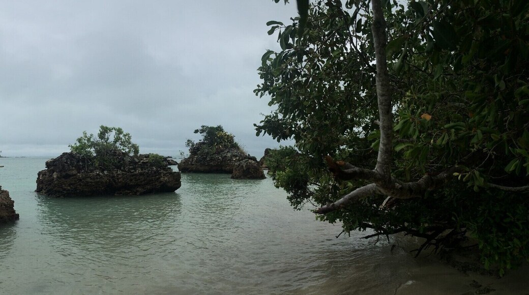 #LifeAtExpedia
#MorrodeSaoPaulo have one of the most beautiful beaches in Brazil!