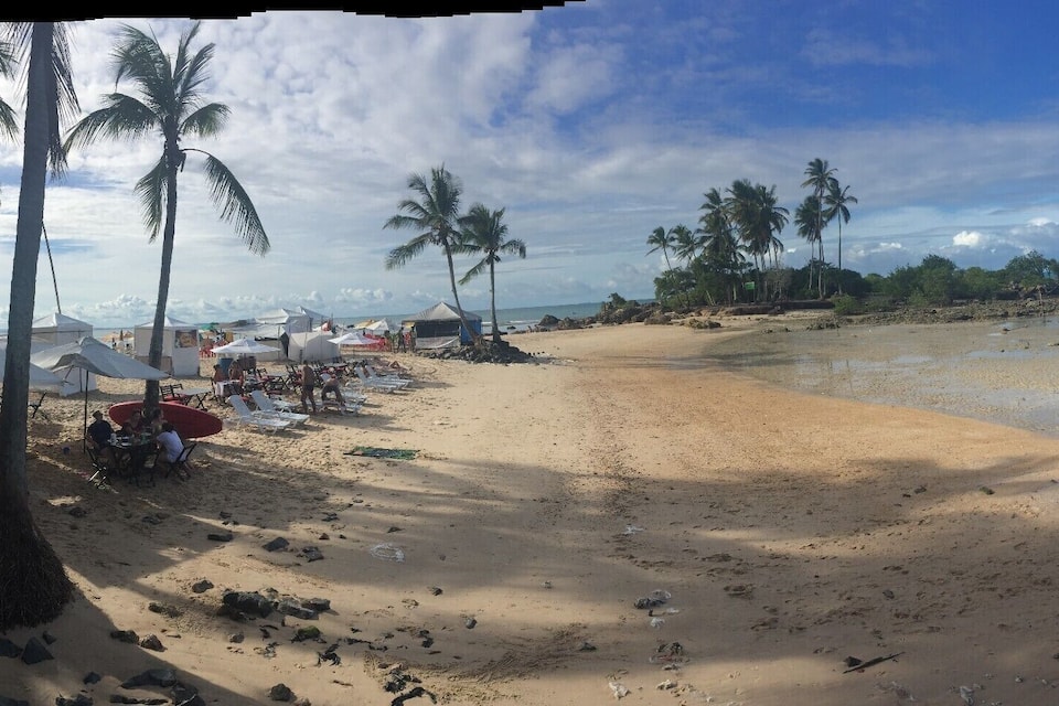 A beach with palm trees, a sandy shore, and a few boats in the water.