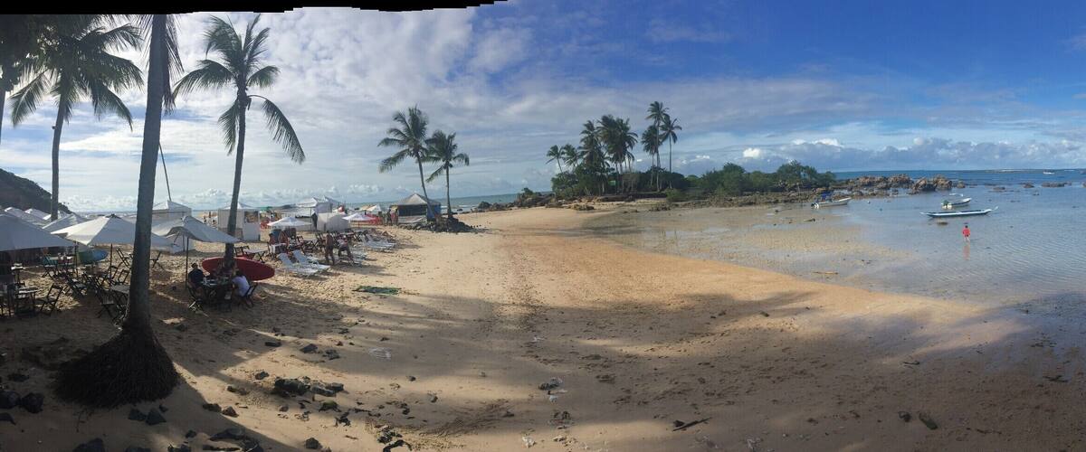 A beach with palm trees, a sandy shore, and a few boats in the water.
