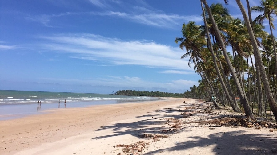 #brazil #bahia #beach #beachbound #blue #sea #water
2016