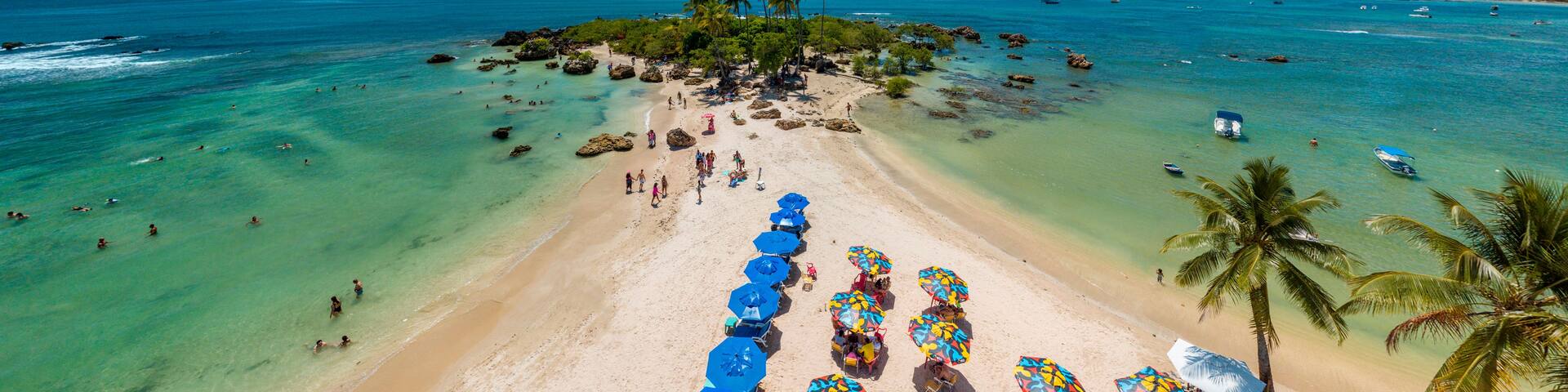 A tropical beach with clear turquoise waters, palm trees, and a row of colorful umbrellas.