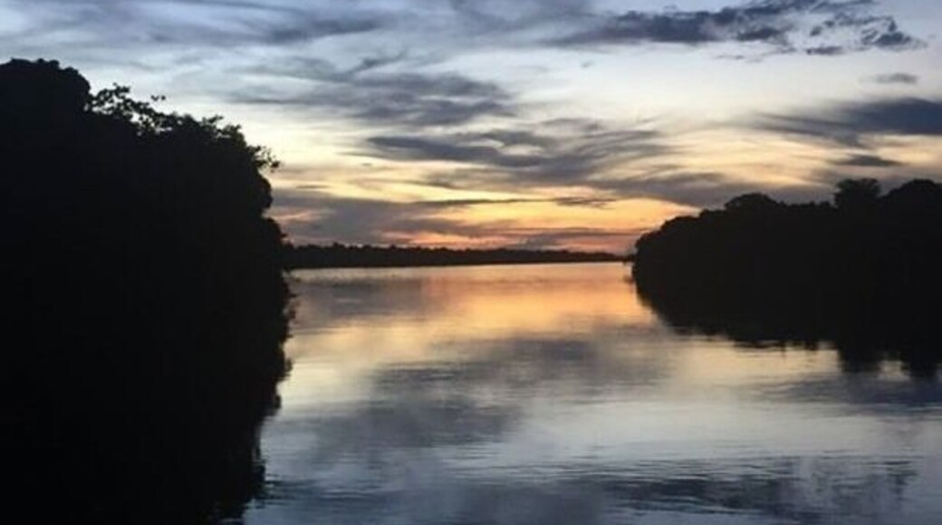 A sunset on the Rio Negro branch of the Amazon River in Brazil. The sunsets were some of the most breathtaking I’ve ever seen.
#sunset #brazil #amazon #southamerica #nature #southamerica #rainforest #travel