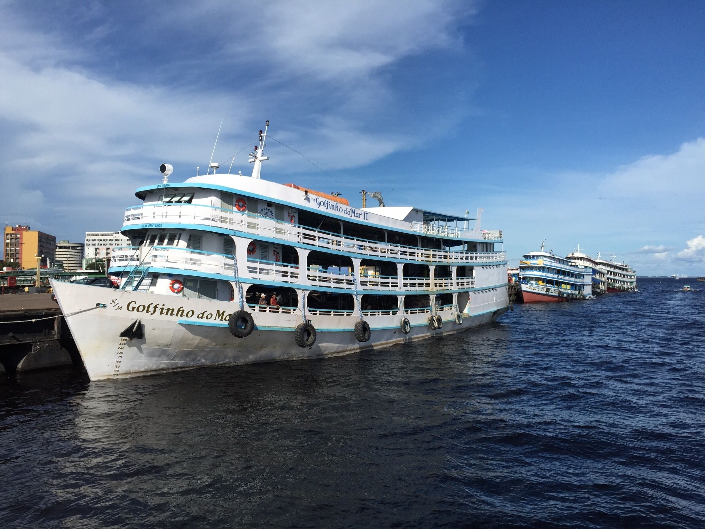 Amazon cruise boats line up at Manaus, Brazil. An Amazon River cruise will take you through some of the most astonishingly biodiverse landscapes in the world. Monkeys, sloths and tropical birds inhabit the trees, jaguars prowl the forest and manatees, dolphins and otters float through the river's murky waters. 
