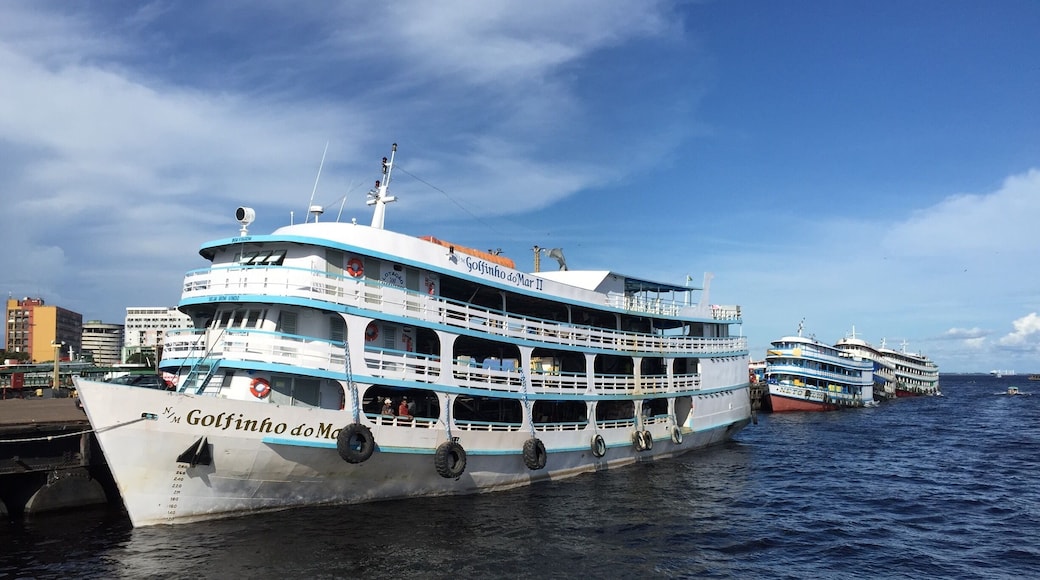 Amazon cruise boats line up at Manaus, Brazil. An Amazon River cruise will take you through some of the most astonishingly biodiverse landscapes in the world. Monkeys, sloths and tropical birds inhabit the trees, jaguars prowl the forest and manatees, dolphins and otters float through the river's murky waters.
