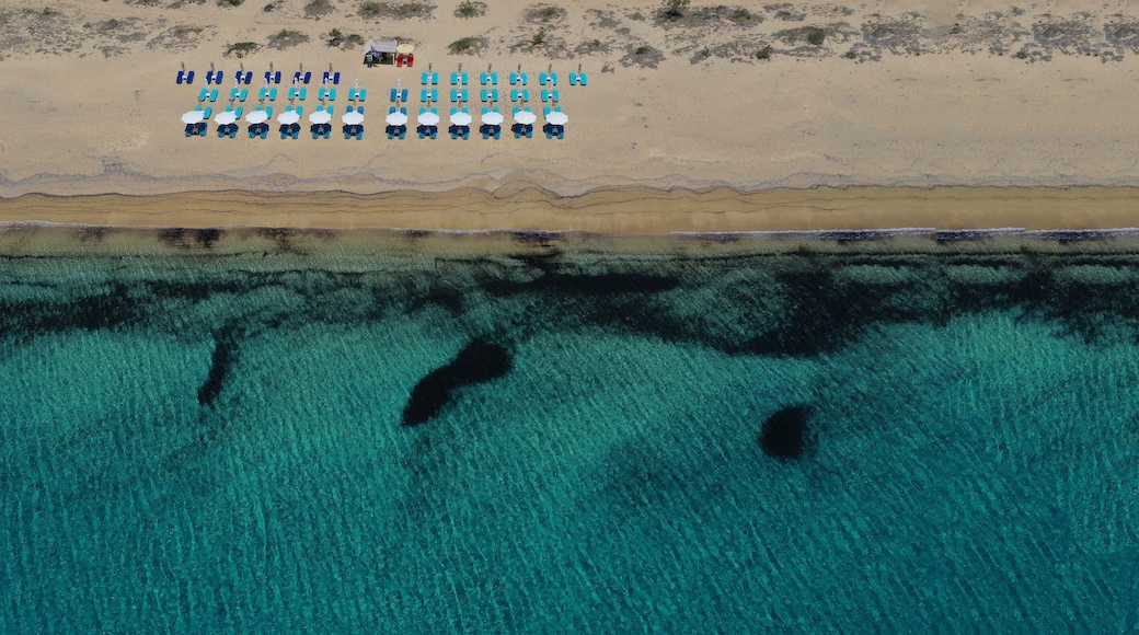 Aerial drone photo of beautiful and popular beach of Agia Anna in Naxos island, Cyclades, Greece