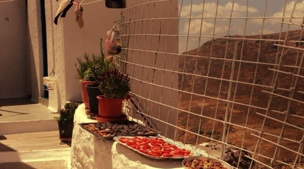 Homemade sun- dried tomatoes & figs.