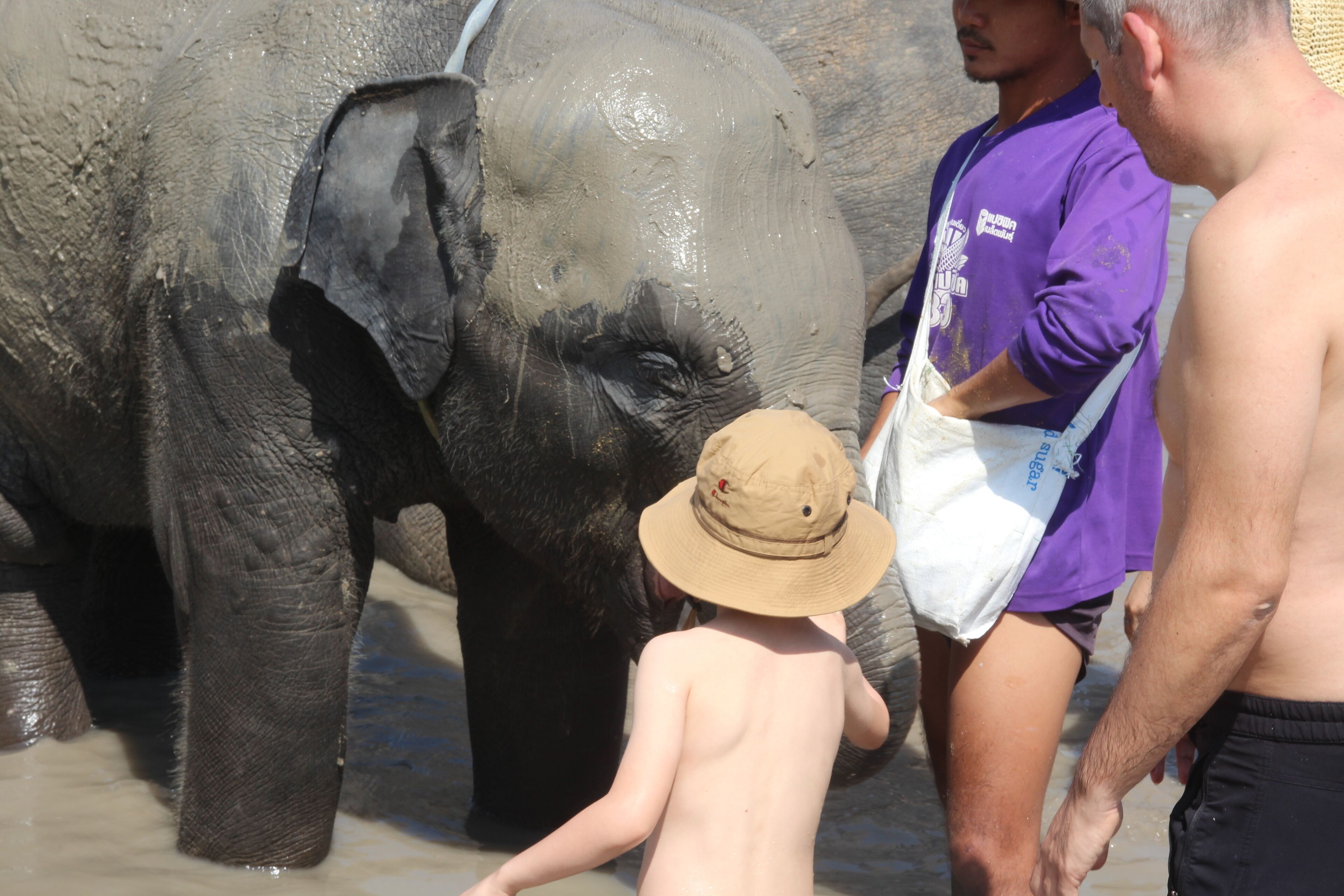 Washing Elephants and bathing with them ..  great experience