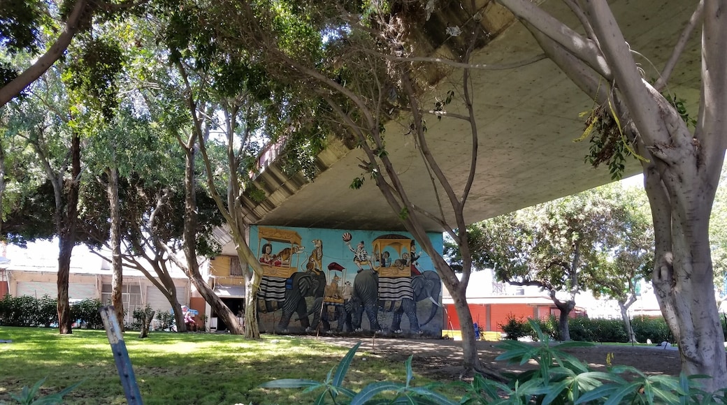 Art at linea internacional