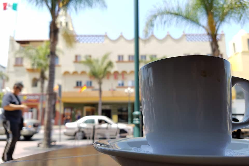 Una taza blanca sobre un platito, palmeras y un edificio con tejado de baldosas.