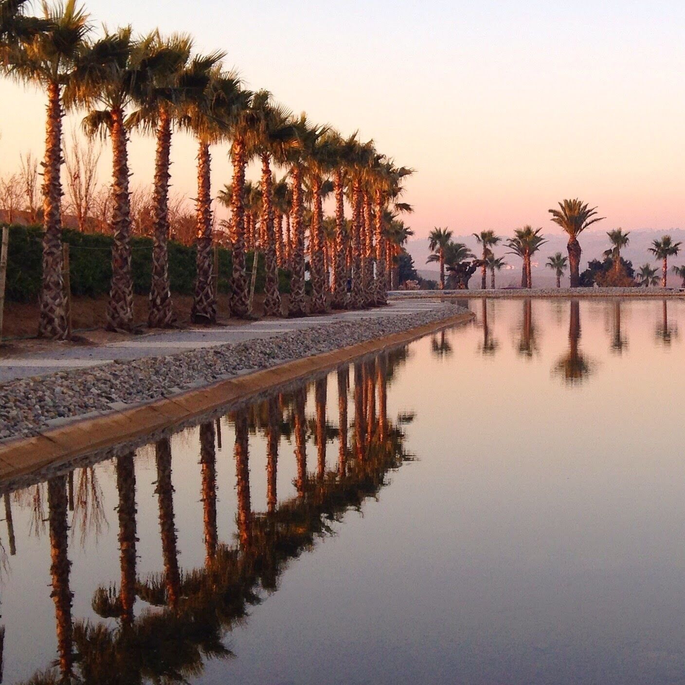 Lost Oasis.

Asian peace garden with sculptures, lakes, pagodas, giant Buddha & terracotta soldiers.

More info: https://www.bacalhoa.pt/enoturismo/bacalhoa-buddha-eden