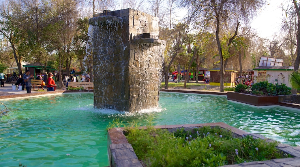 Parque Morelos og byder på et springvand, en dam og en park