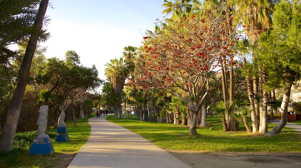 Parque Morelos 呈现出 公園