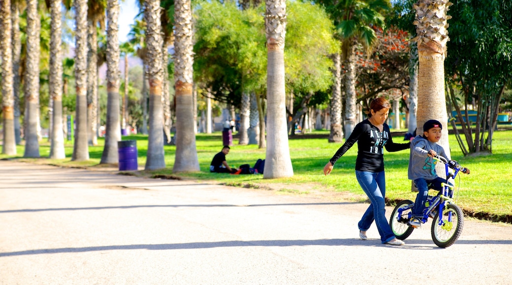 Parque Morelos 设有 花園 和 騎自行車 以及 小群人