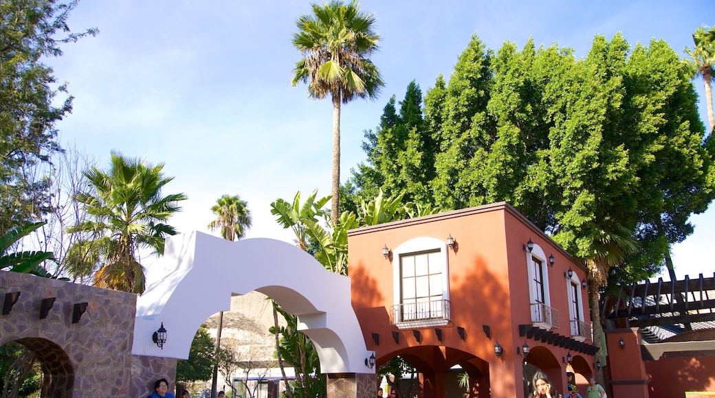 Parque Morelos 呈现出 花園