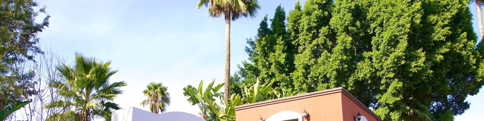 A building with arched doorways, surrounded by palm trees and greenery.
