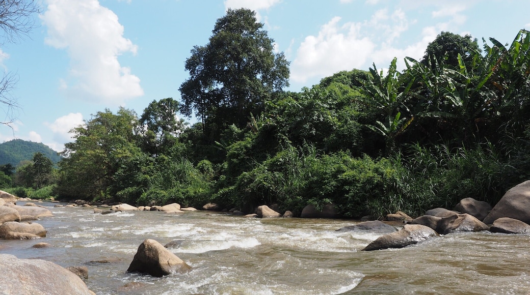 Get away from the hustle and bustle of Chiang Mai city and enjoy a day in the utter beauty of mother nature. There is river rafting, you can watch elephants (but please DO NOT ride on them), breathe fresh mountain air and see villages of hilltribes.