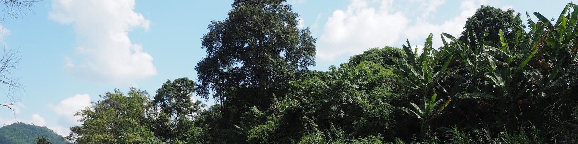 Get away from the hustle and bustle of Chiang Mai city and enjoy a day in the utter beauty of mother nature. There is river rafting, you can watch elephants (but please DO NOT ride on them), breathe fresh mountain air and see villages of hilltribes.