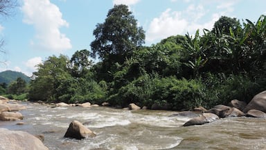 Get away from the hustle and bustle of Chiang Mai city and enjoy a day in the utter beauty of mother nature. There is river rafting, you can watch elephants (but please DO NOT ride on them), breathe fresh mountain air and see villages of hilltribes.